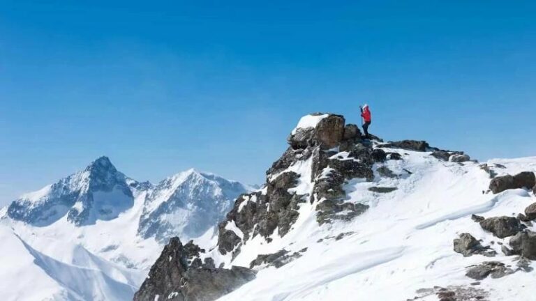 F08a8822 9a34 4459 8fb5 da0e2befb48a file.jpg