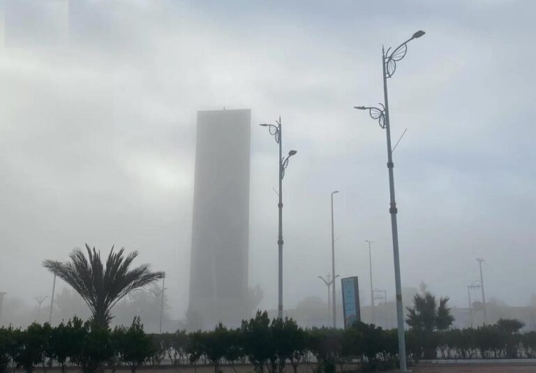 F0e26bd2 ff31 43a2 a3fa a48e512d26b1 file.jpg