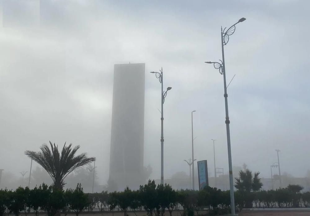 F0e26bd2 ff31 43a2 a3fa a48e512d26b1 file.jpg