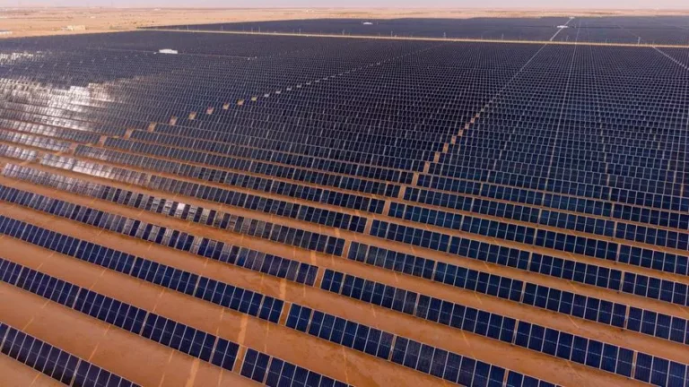 F46af914 2311 4b71 bb9f 8cd4df93f344 zawta.webp