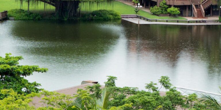 F97f42ce c36c 4cb4 ae88 90f45694192b file.jpg