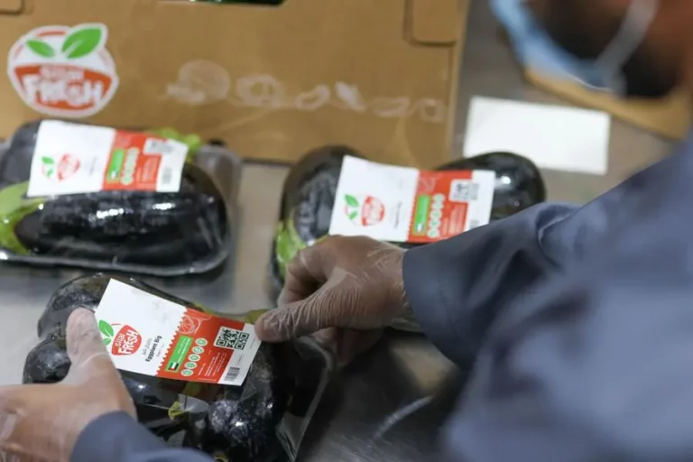 Fa107300 4026 446d 8b64 f51683cdd4a2 zawta.webp