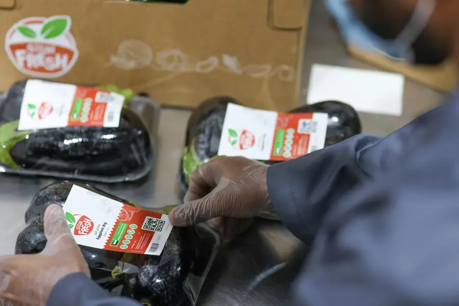 Fa107300 4026 446d 8b64 f51683cdd4a2 zawta.webp