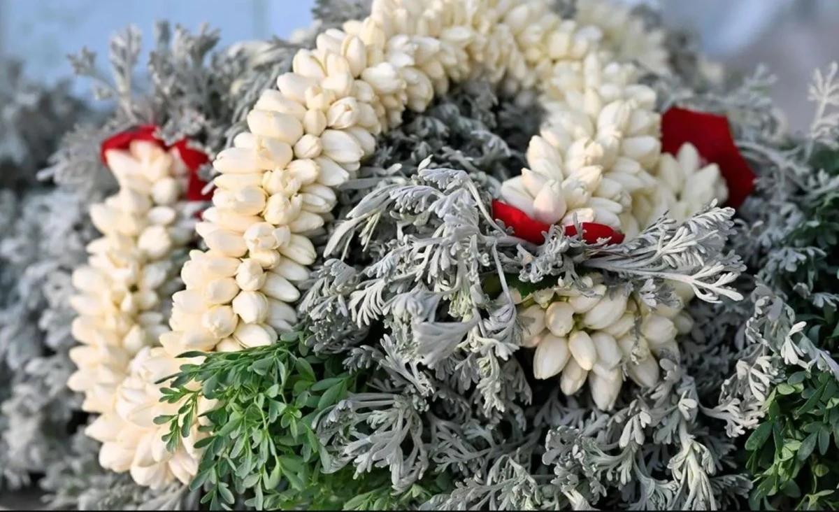 Fc8849c6 589b 4490 980b 60e96f533c85 file.jpg