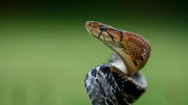 Fd680587 bb73 4a0f 977b 6cf7da091b6b file.jpg