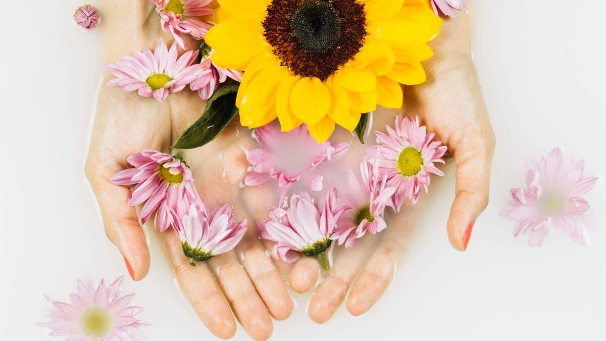 Fe8b2c8c 04b9 4de2 8dda 8d8d7672a34e file.jpg