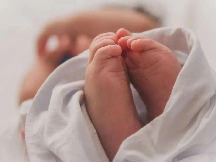 0036b9d0 c4b4 4859 b343 11a76d597c4d file.jpg