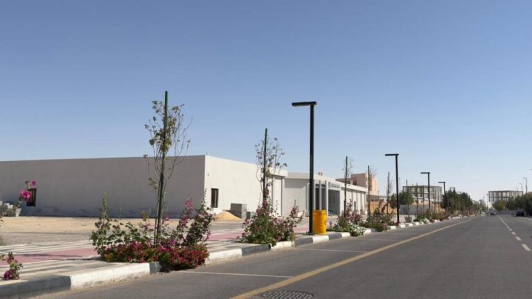 00ca22d7 938c 4386 b155 b7b071dccfd5 file.jpg