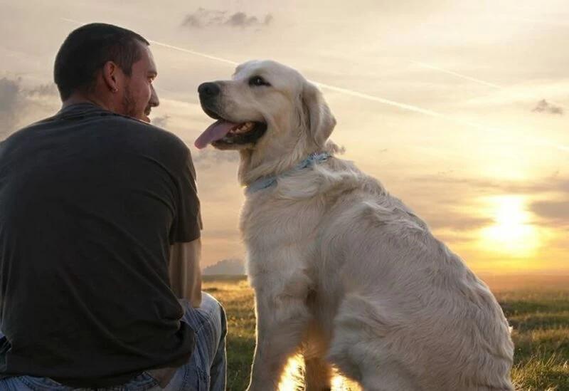 010972e0 9830 447b 8125 e605c0e29568 file.jpg