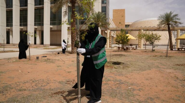 010e8047 ac56 4f02 8297 bf1f9f13015c file.jpg