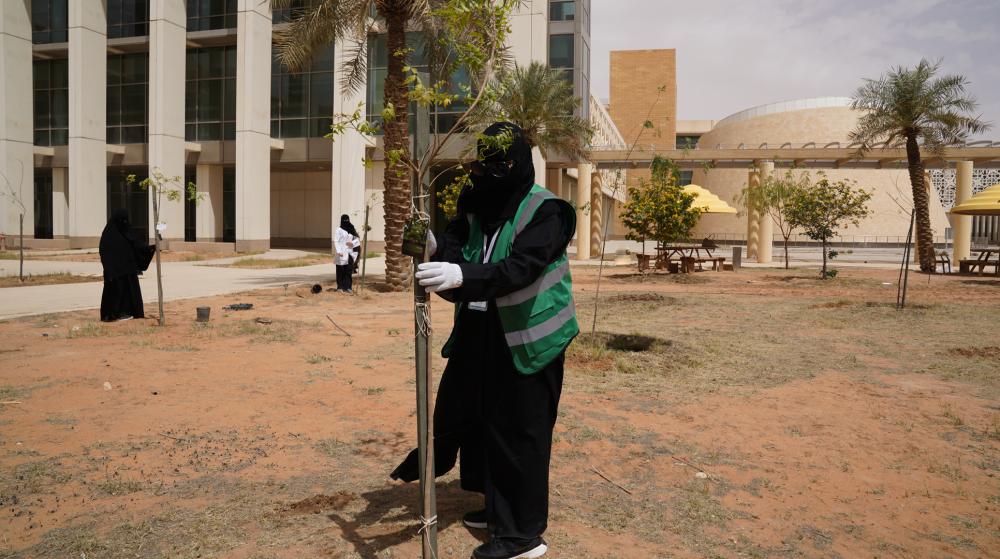 010e8047 ac56 4f02 8297 bf1f9f13015c file.jpg