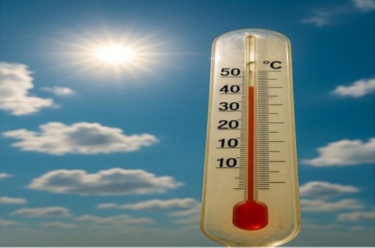 02b75796 efab 4801 a805 219ef24bf1cb file.jpg