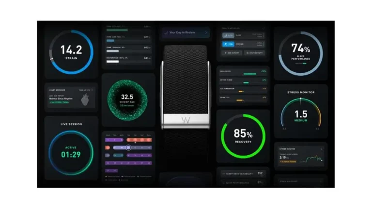 037c365a 6c3a 4995 9aaa 095f2c1b3334 zawta.webp