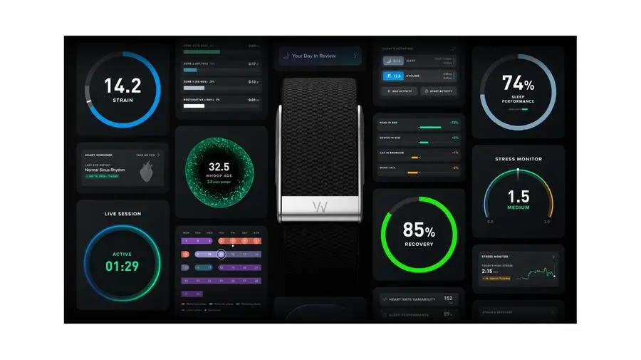 037c365a 6c3a 4995 9aaa 095f2c1b3334 zawta.webp