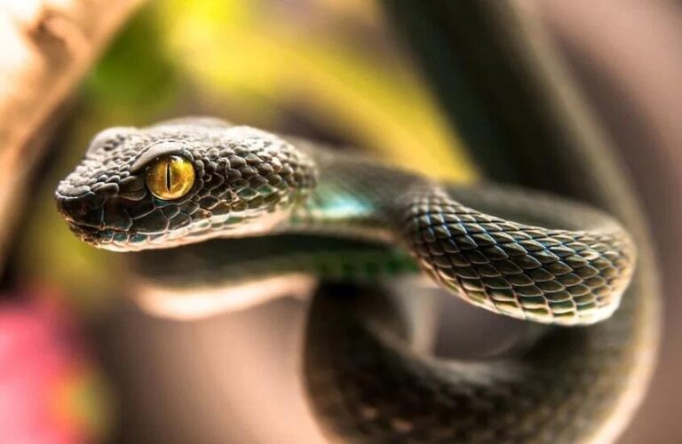 0394c818 df37 40c3 b599 6b3f9222fb57 file.jpg