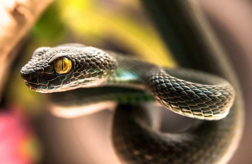 0394c818 df37 40c3 b599 6b3f9222fb57 file.jpg