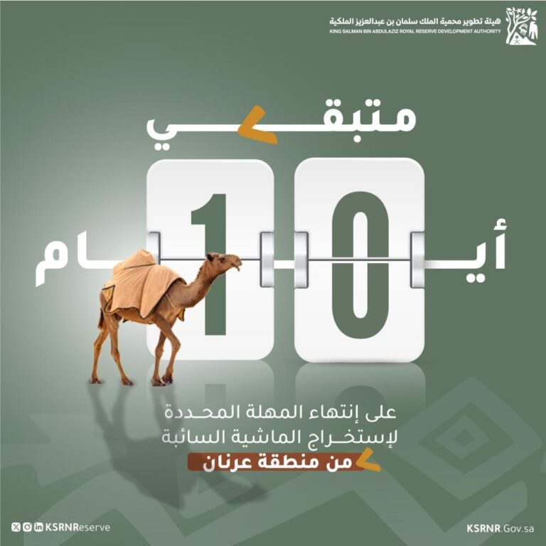 04b2d517 3824 41f2 b5ff 5c55de910343 file.jpg