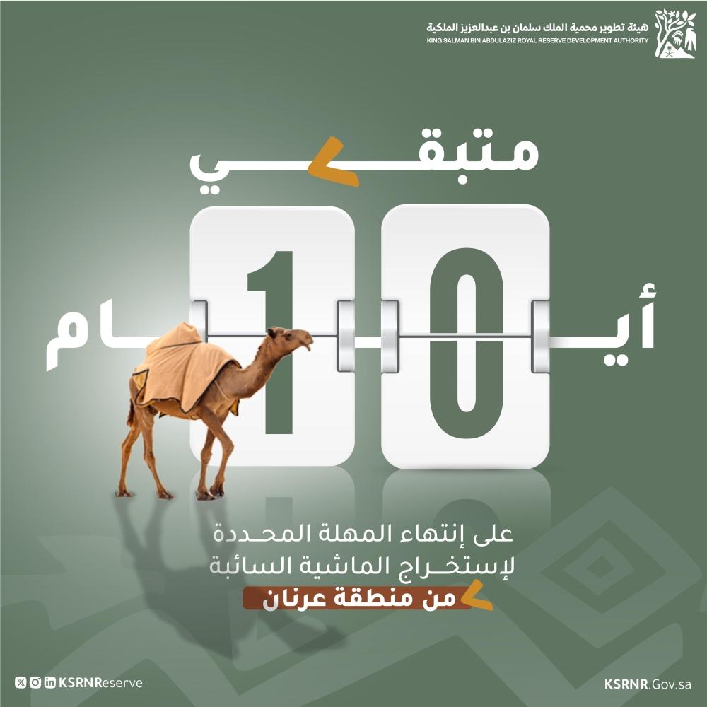 04b2d517 3824 41f2 b5ff 5c55de910343 file.jpg