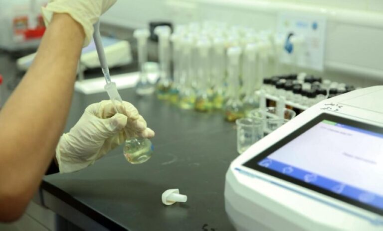 06d2e558 7271 4846 9d08 531edad55164 file.jpg