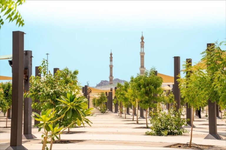 08976b0e 3288 4fe3 a53f c95797e9587d file.jpg