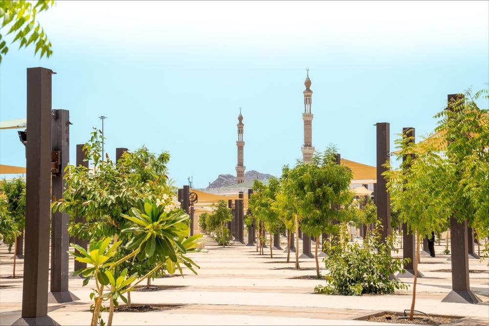 08976b0e 3288 4fe3 a53f c95797e9587d file.jpg