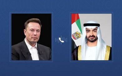 08c82726 f163 4a71 b4a2 d2178fa6deab file.jpg