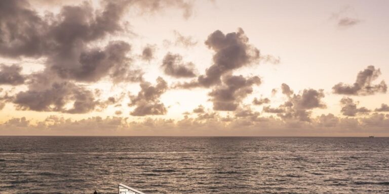 09f6fbf6 f4cc 4caf 9c7a d19dbb320757 file.jpg