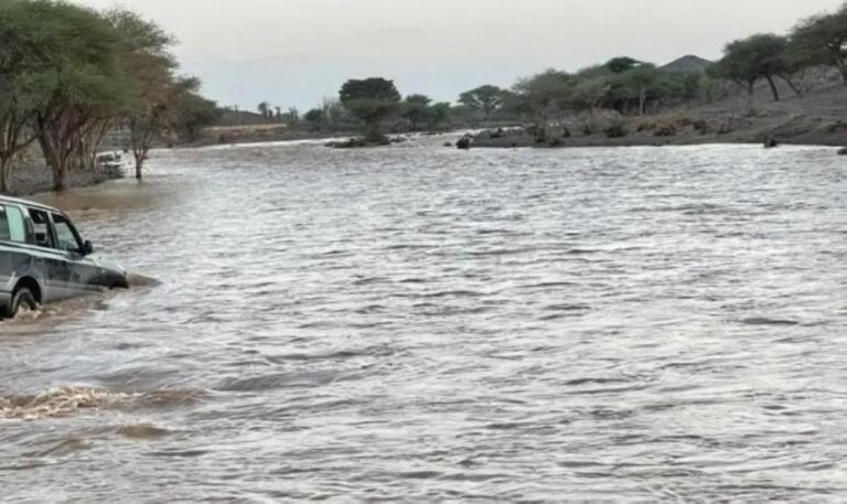 0aa9ec1e 0222 4089 ae02 83131ff171a3 file.jpg