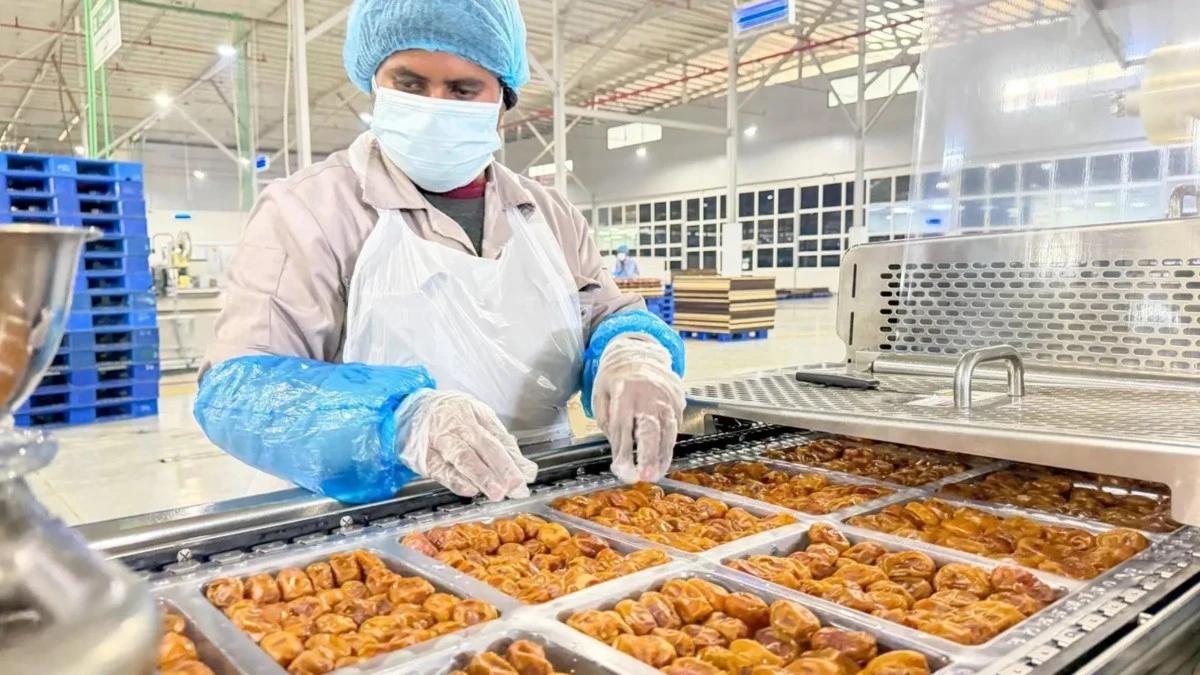 0ae583ac ec4d 4737 b604 15eadd2a7d6c file.jpg