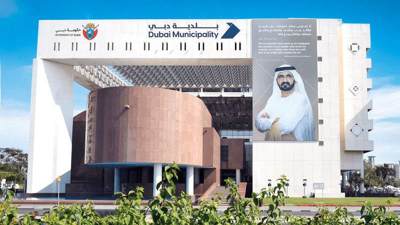 0d0be08e 1a9e 4f90 9572 b2291100bd6c file.jpg