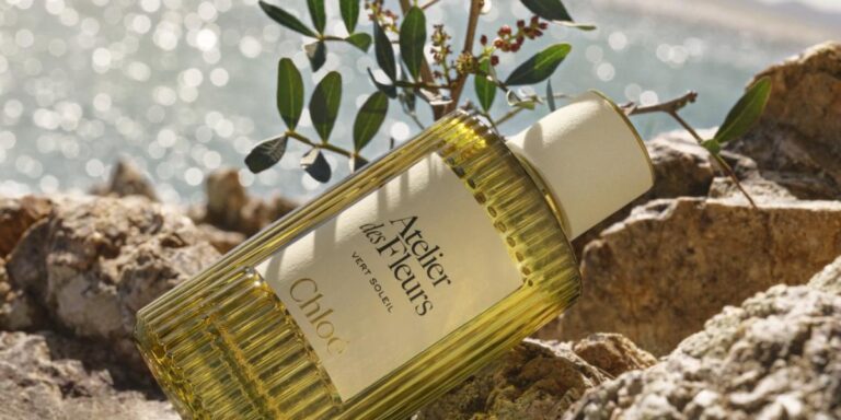 0fdde1ee 3442 46bb 8f9a 83ae8c245775 file.jpg