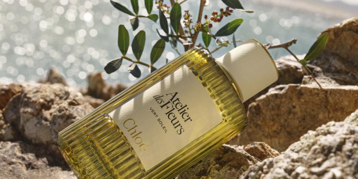 0fdde1ee 3442 46bb 8f9a 83ae8c245775 file.jpg