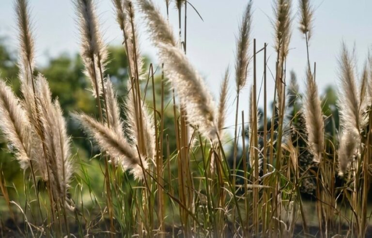 0fdfedac efd9 4ddd 9b89 ec4786ec60fe file.jpg