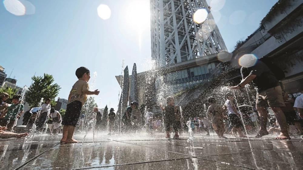 12bd5604 a1ce 4a31 99ee 48cbab9ac016 file.jpg