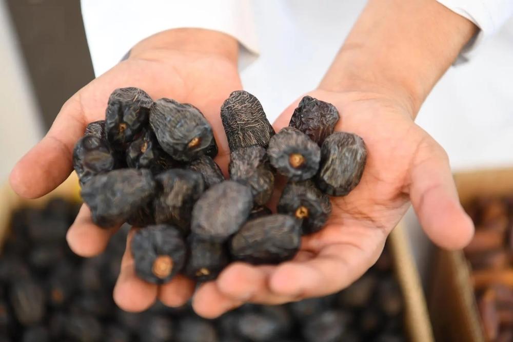 141688b0 56b3 4813 a5a3 7d96ce73cc69 file.jpg