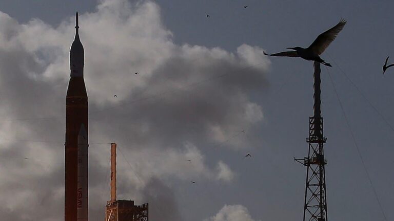 188b4fc5 57a0 426c 9744 b6f465ada7a3 file.jpg