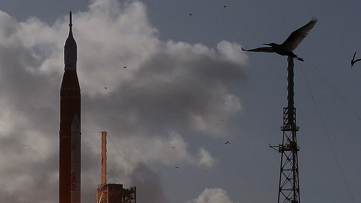 188b4fc5 57a0 426c 9744 b6f465ada7a3 file.jpg