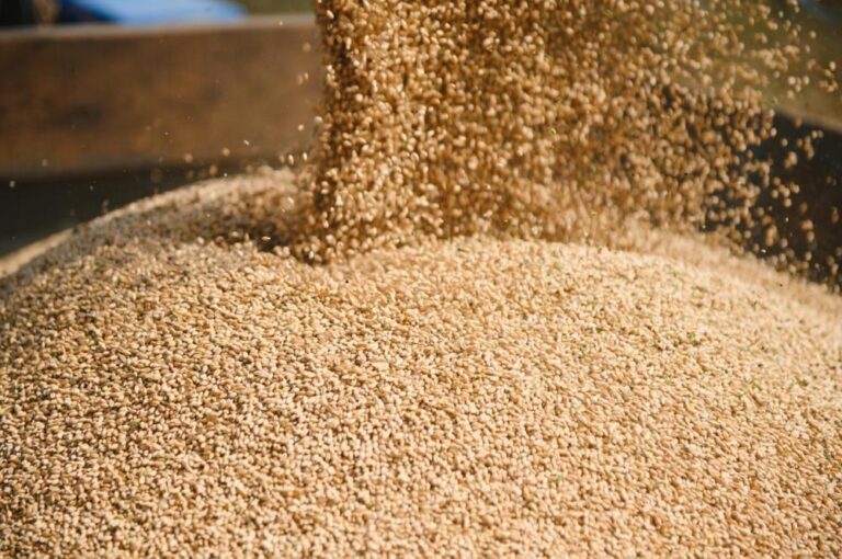 1bdada0e 937e 453b b632 0a1ac056b9ba file.jpg