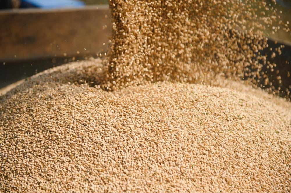 1bdada0e 937e 453b b632 0a1ac056b9ba file.jpg