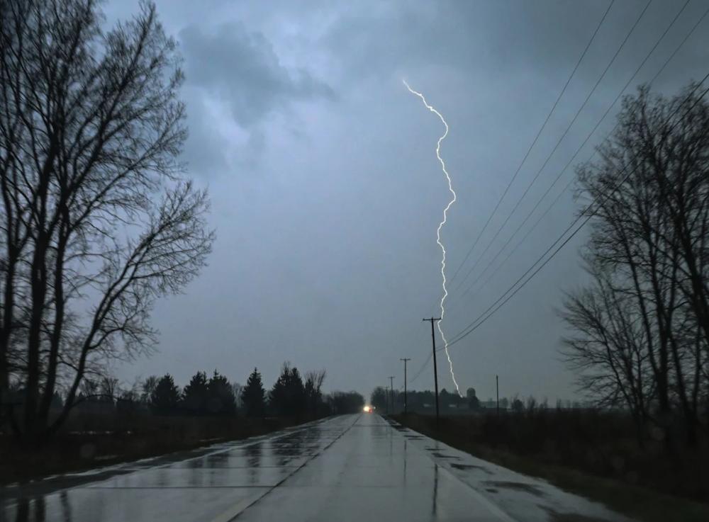 1c7b5e61 2a4e 4386 b1bf 52ab80524817 file.jpg