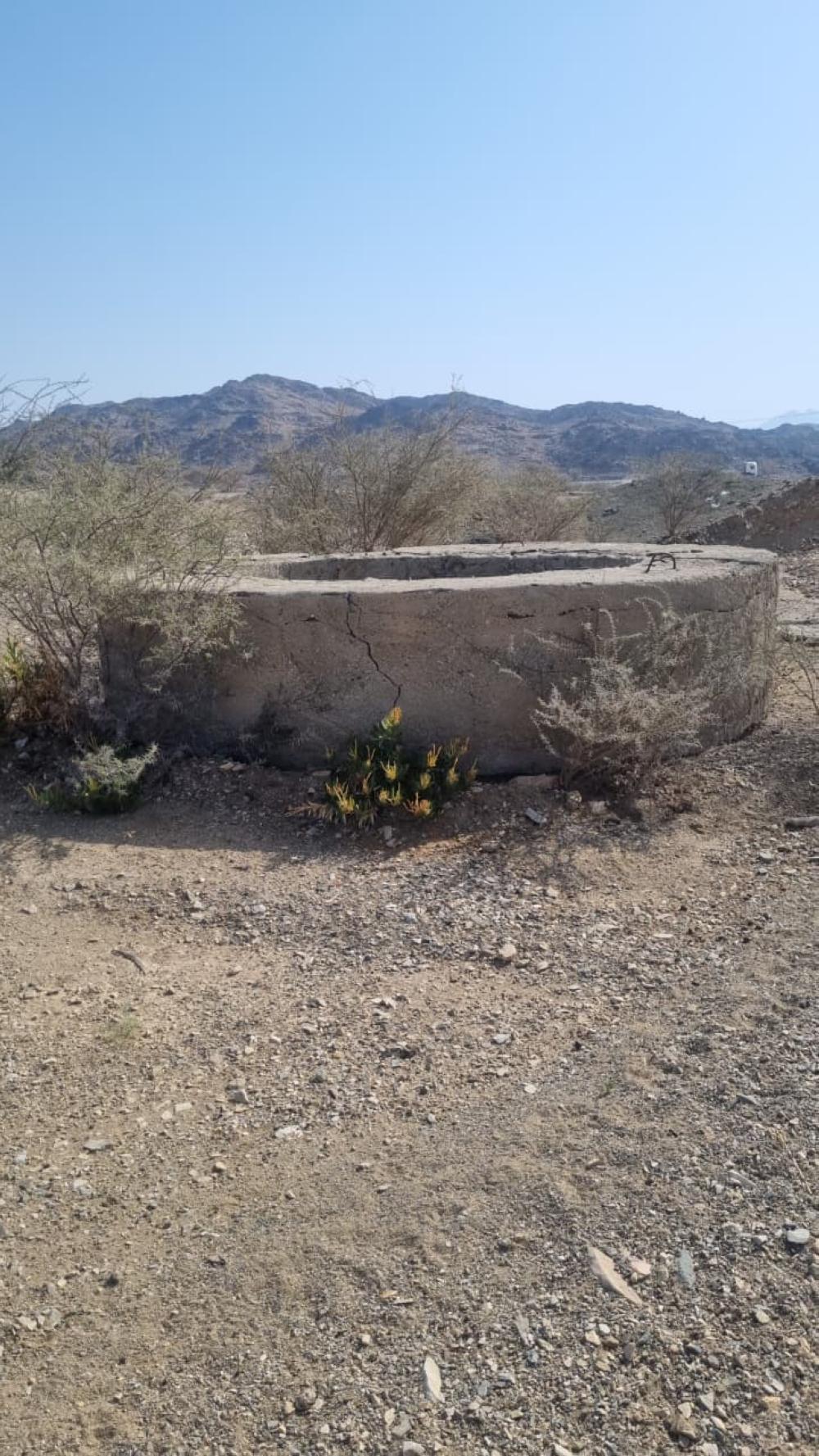 1cdbe582 163a 4760 9f49 29f36ad05ffe file.jpg