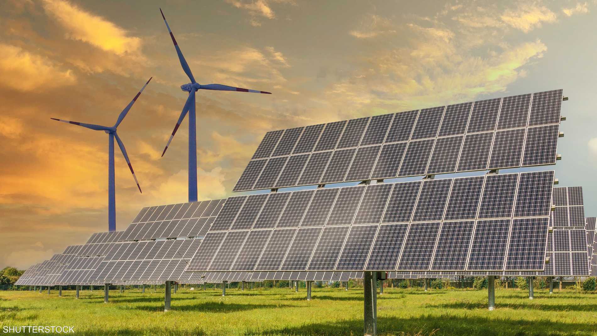 1d9582b0 ee90 41e2 b8c2 68bed367816d file.jpeg