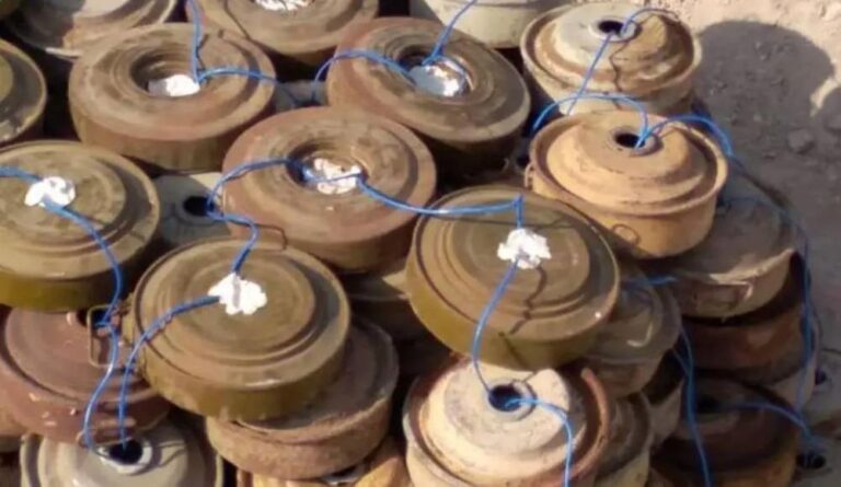 1dbad772 09a6 4a38 aa3a eae6337de4fb file.jpg