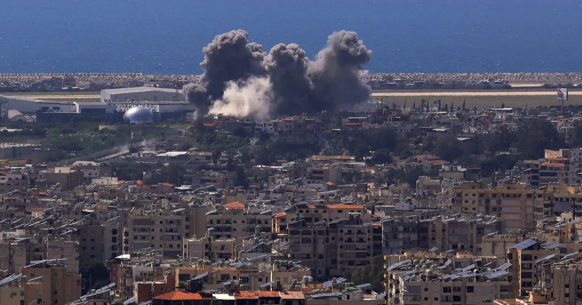 24409261 1e27 4b4c 8207 eb8e1ce0b1db file.webp