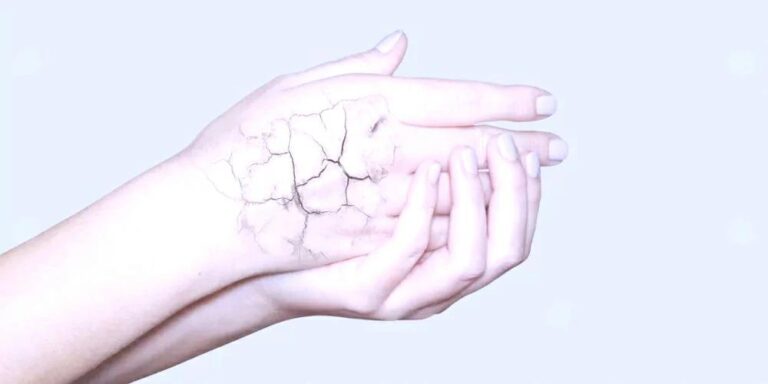 2496c479 8e35 4c53 a851 d318d1bd2130 file.jpg