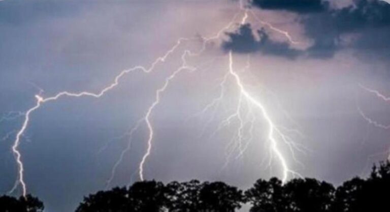 26ac2dda f208 45bc b82f 714c2628159a file.jpg