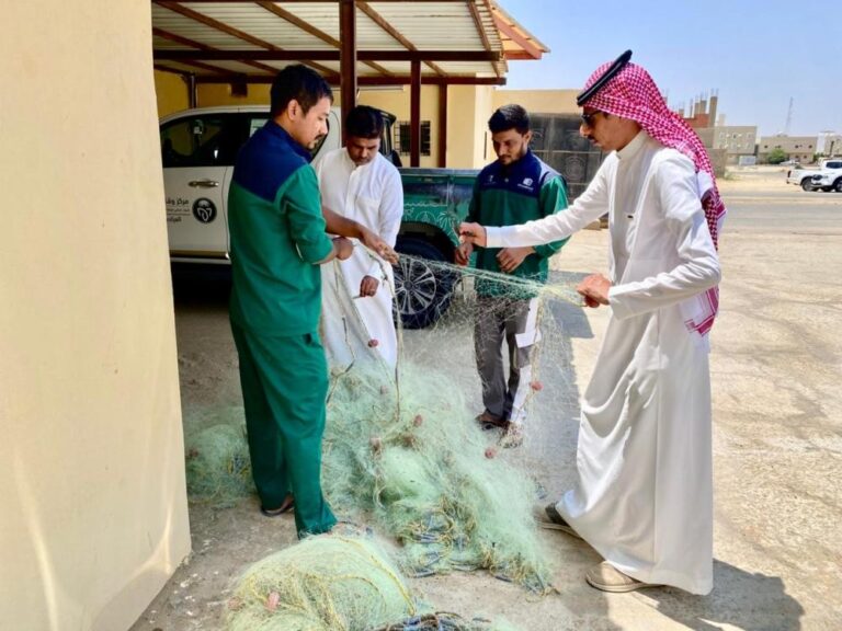 290cf95f 66a6 47b4 b9a2 1fc5d271bb8e file.jpg