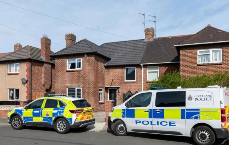 2b0edfe5 8c43 4395 912a fea61db3b6bc file.jpg