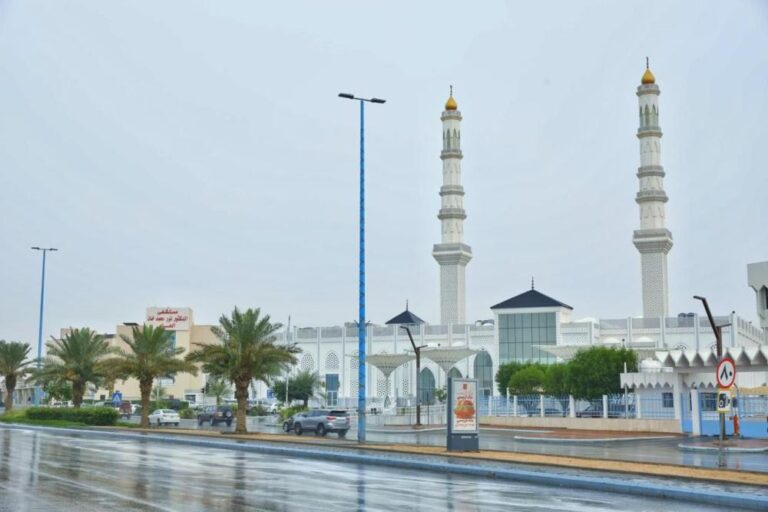 31588bb7 87a6 487a 8975 177b089bf901 file.jpg