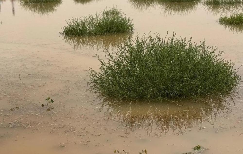 344bde2f b8ac 473d 84a0 75392ca4cd22 file.jpg